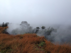 Mist and fog filled the air all around the volcano