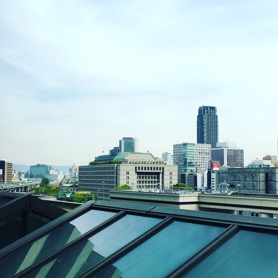 View of Osaka from the window