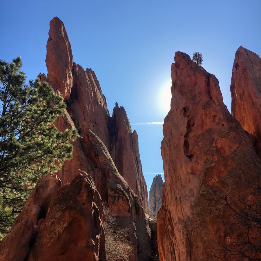 a tall rock formations with trees and a blue sky with Garden of the Gods in the background