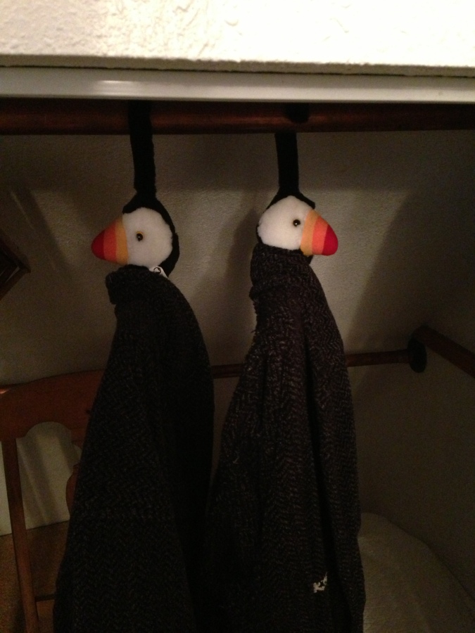 Puffin robes :)