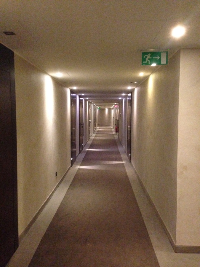 Hallways of the Radisson Blu