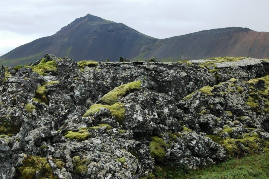 Rocks near Thingvellir