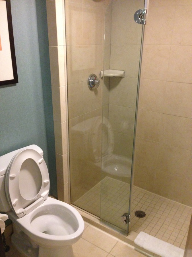 Shower/toilet