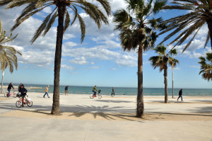 people walking on a beach with palm trees and people walking