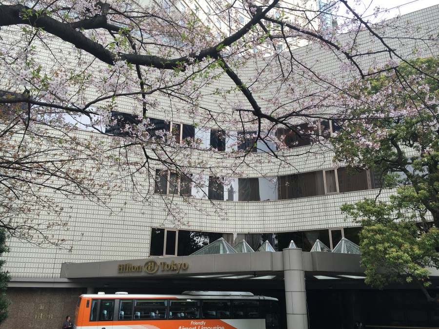 Hilton Tokyo review