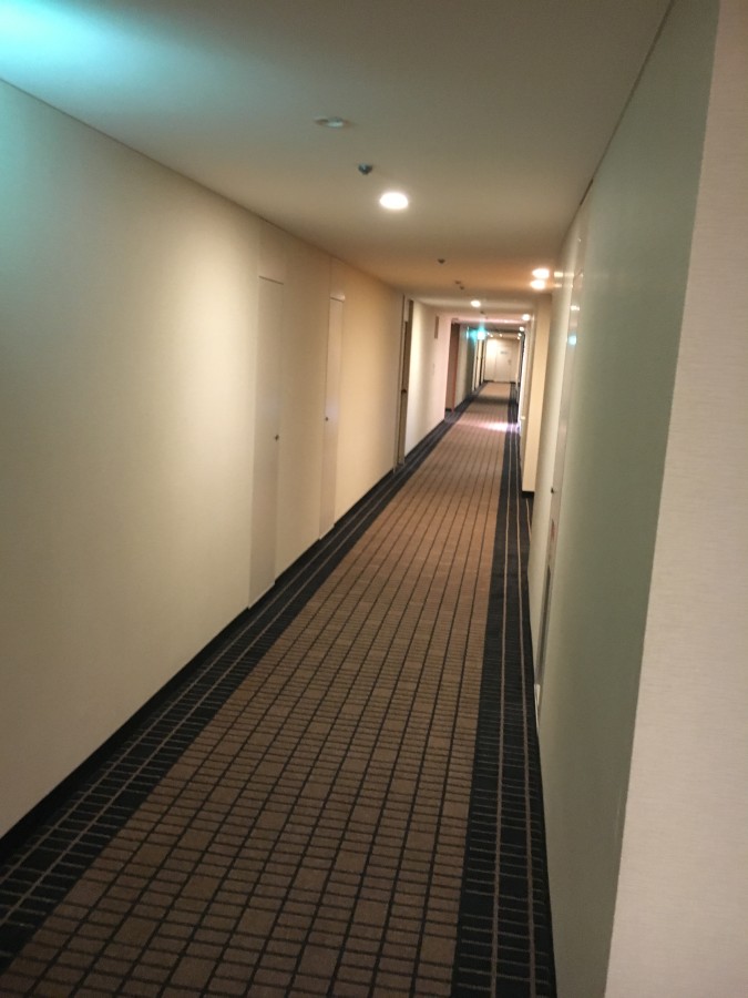 Hallways of the ANA Crowne Plaza Osaka