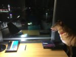 a dog sitting at a desk looking out a window