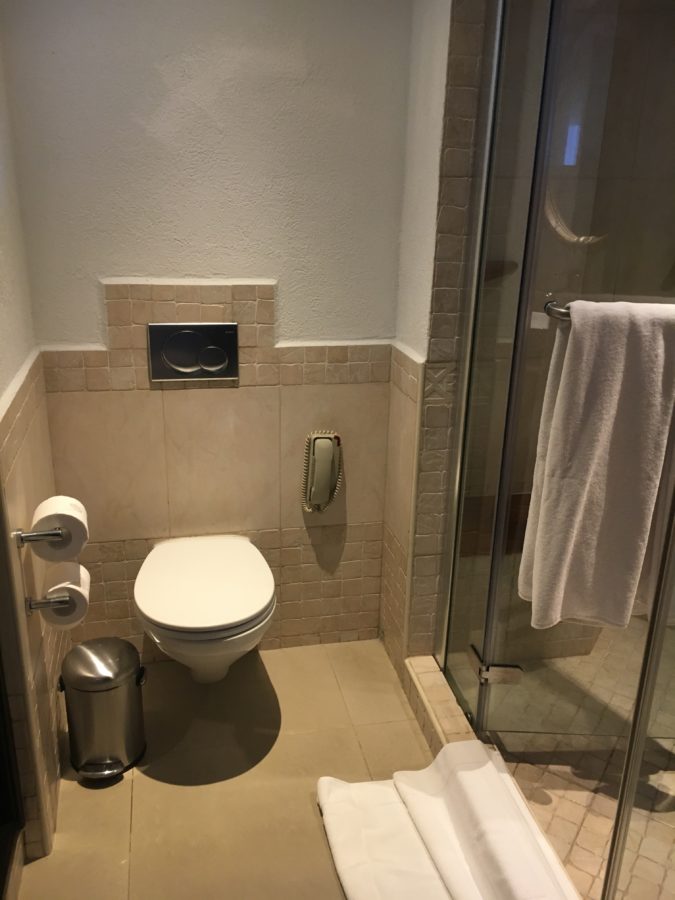 Toilet, next to the shower