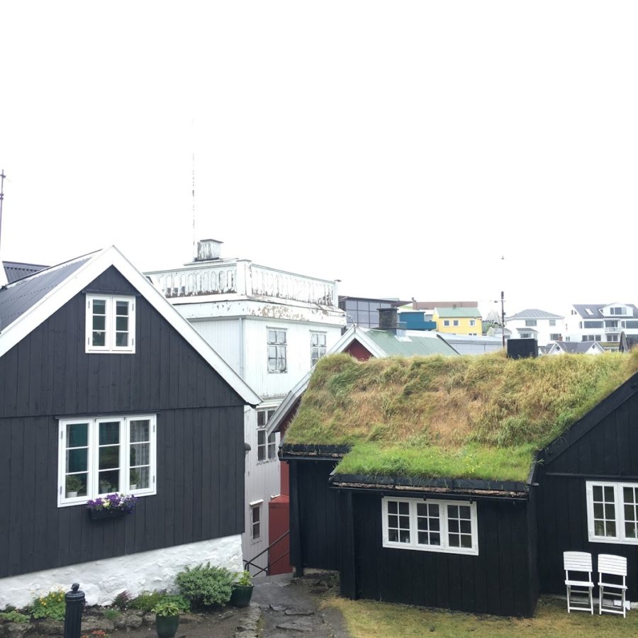 a group of houses with grass on the roof