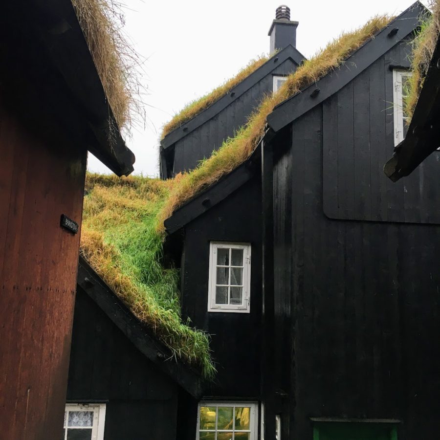 a house with grass on the roof