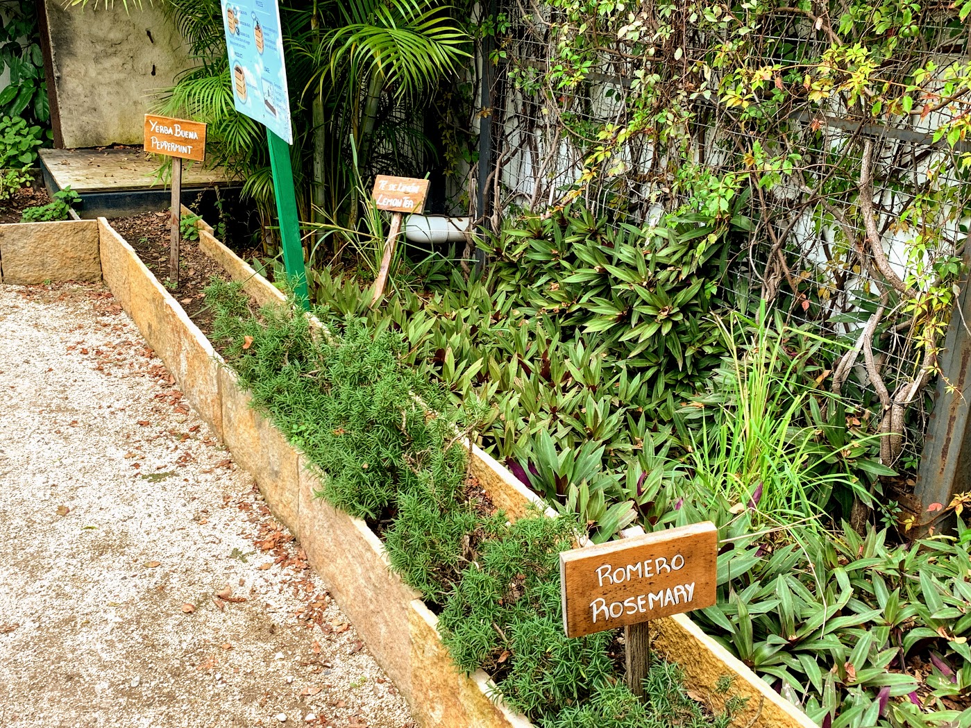 a garden with signs and plants
