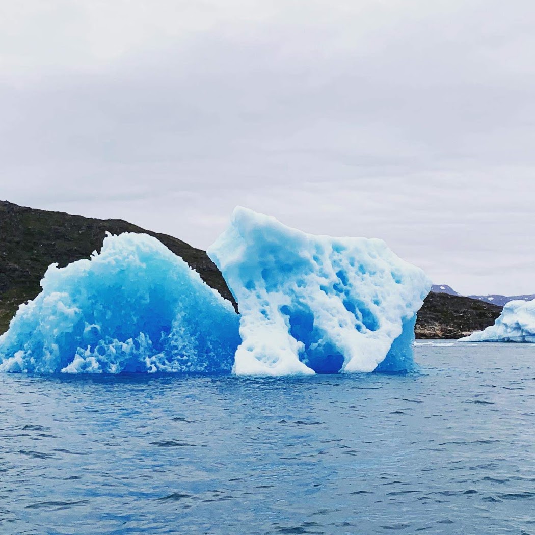 icebergs in the water with mountains in the background