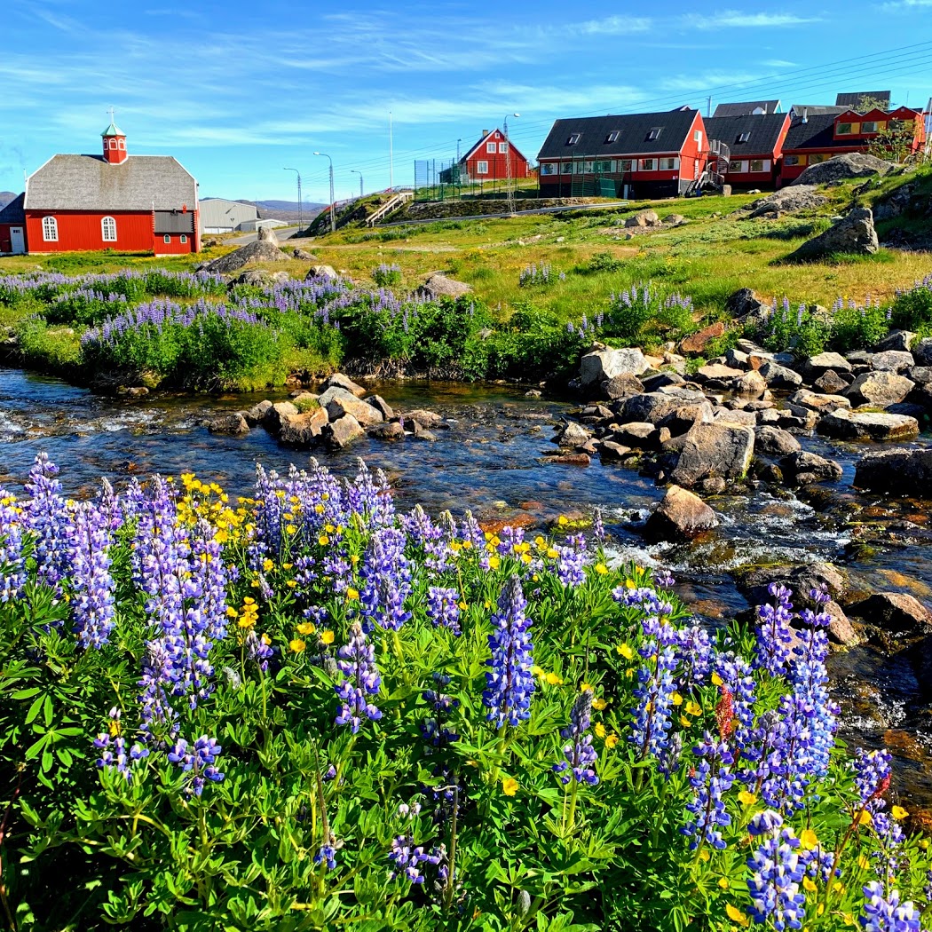 a river running through a grassy area with a red building and flowers