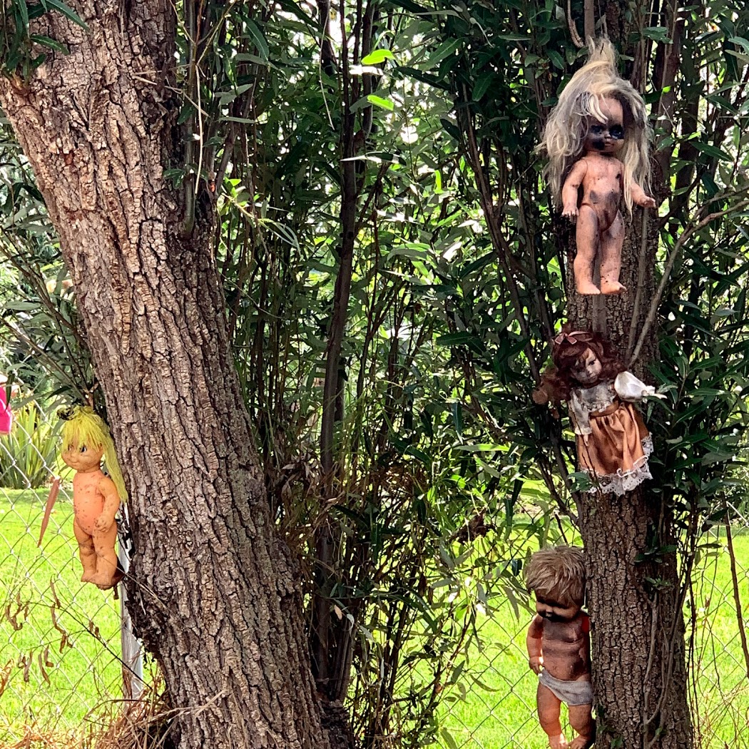 a group of dolls on a tree