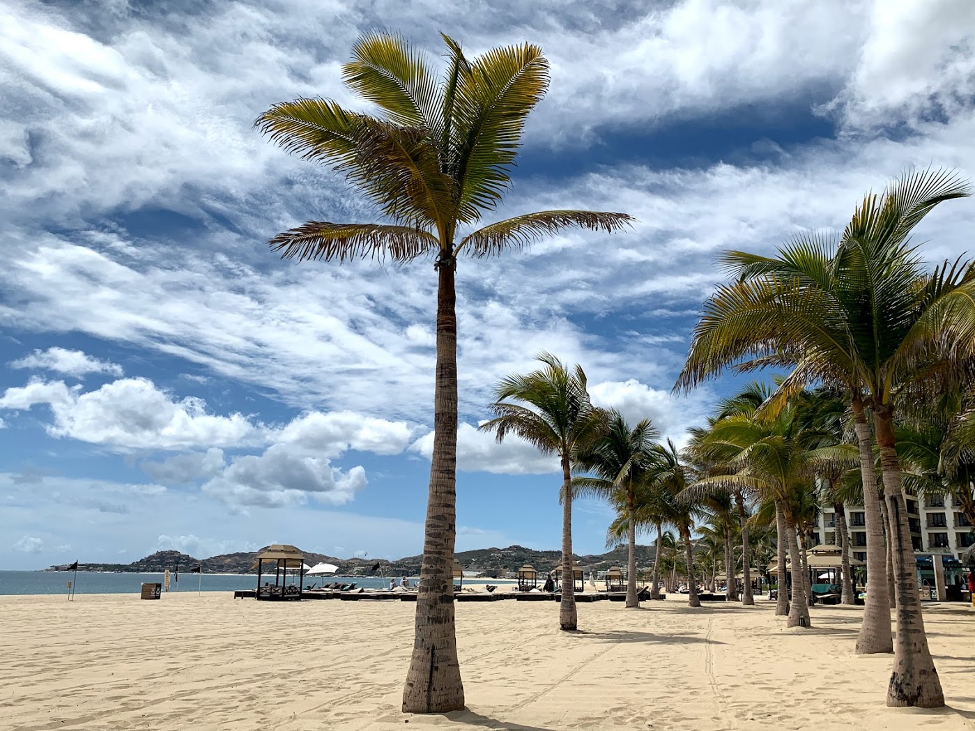 a beach with palm trees and umbrellas