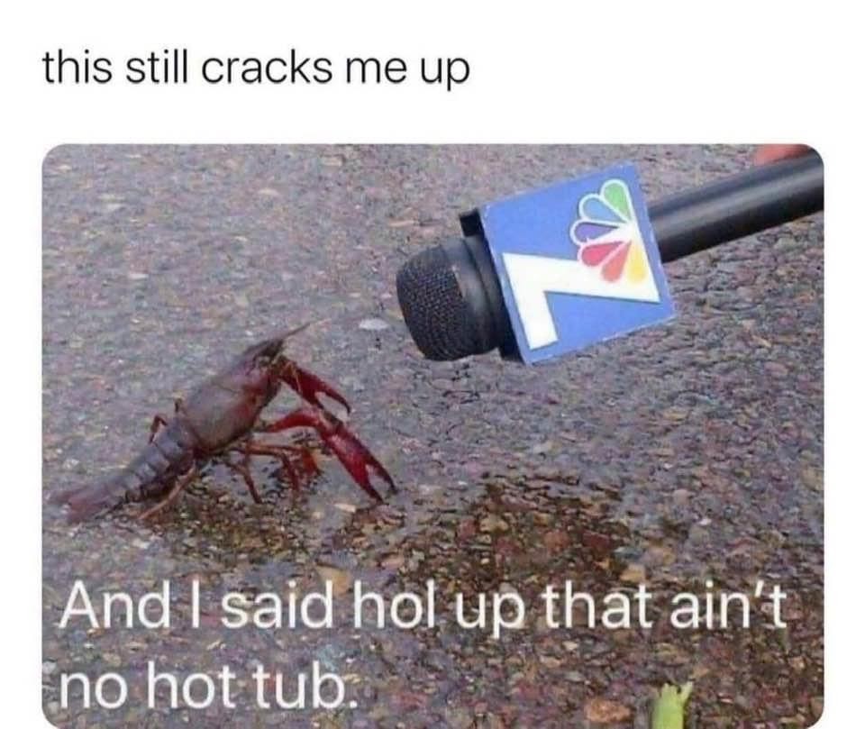 a lobster on the street