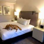 Kimpton Palomar Philadelphia hotel review