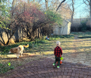 a child walking on a brick path with a dog
