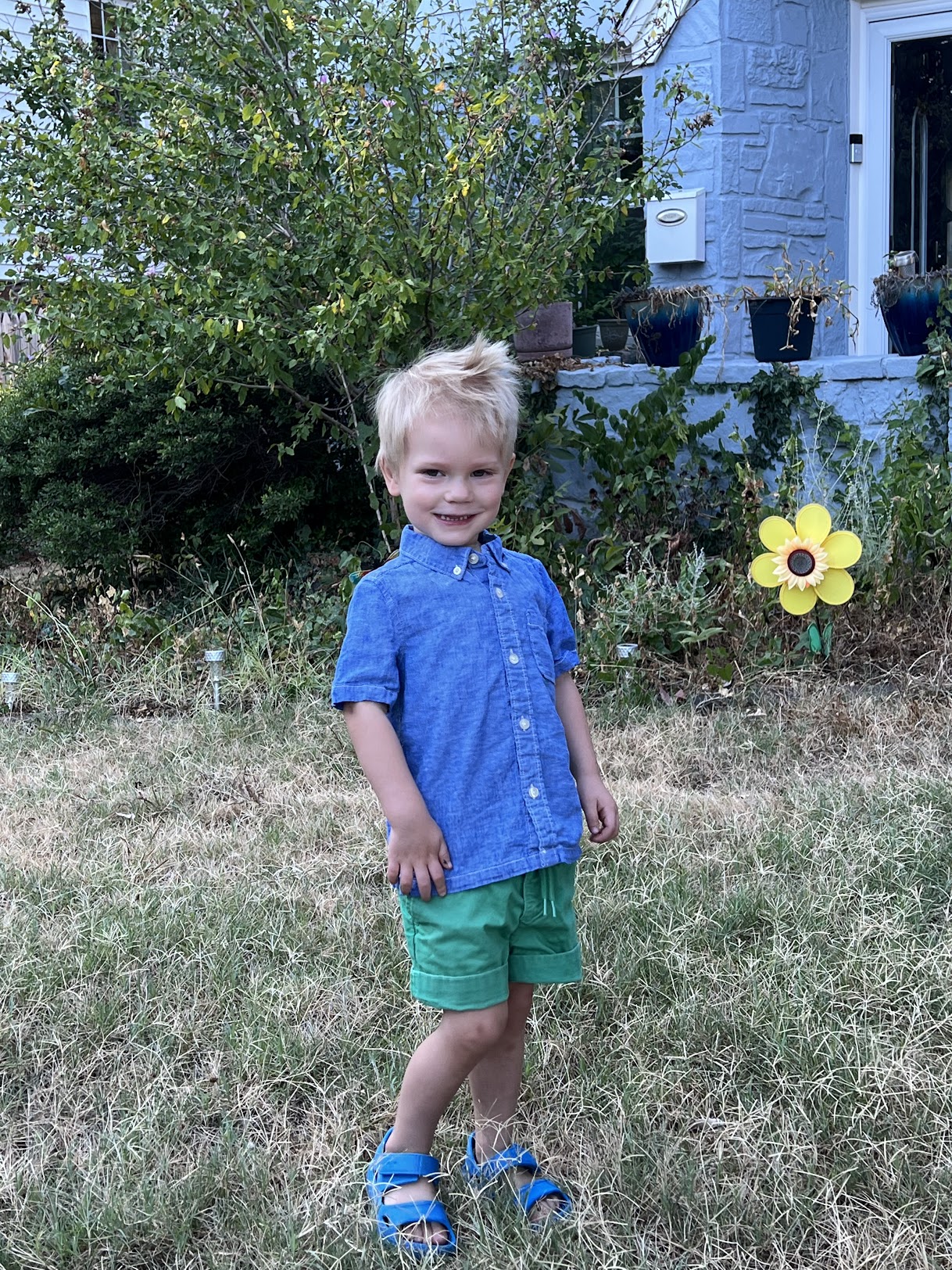 a boy standing in a yard