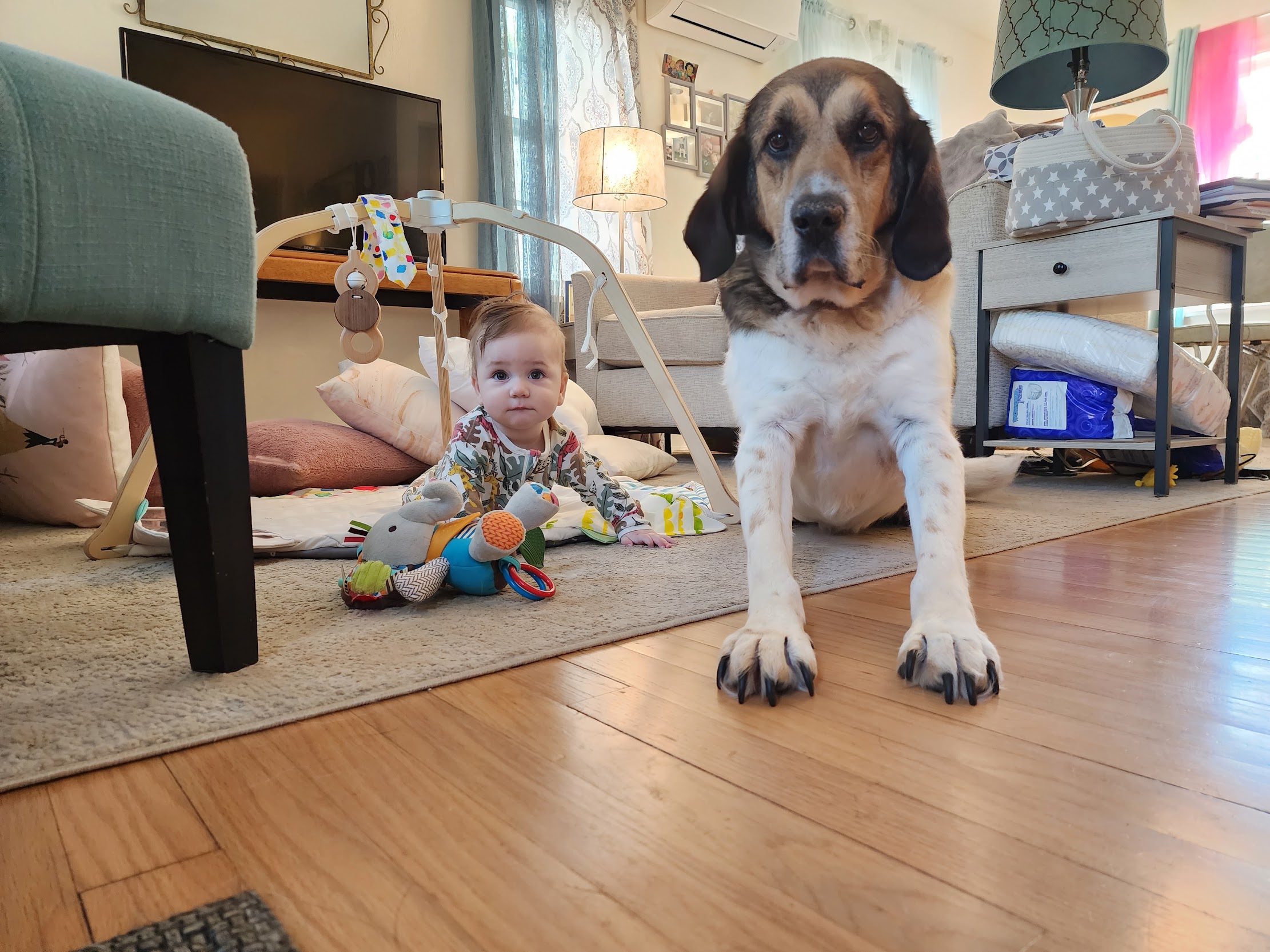 a dog and baby on the floor