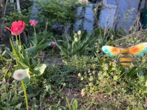 a garden with flowers and a bee